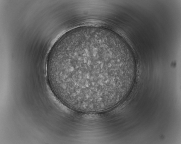 X0000114551083200911091150