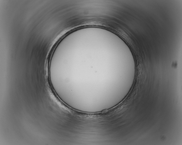 X0000114551084200911091150