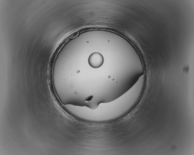 X0000114551085200911091150