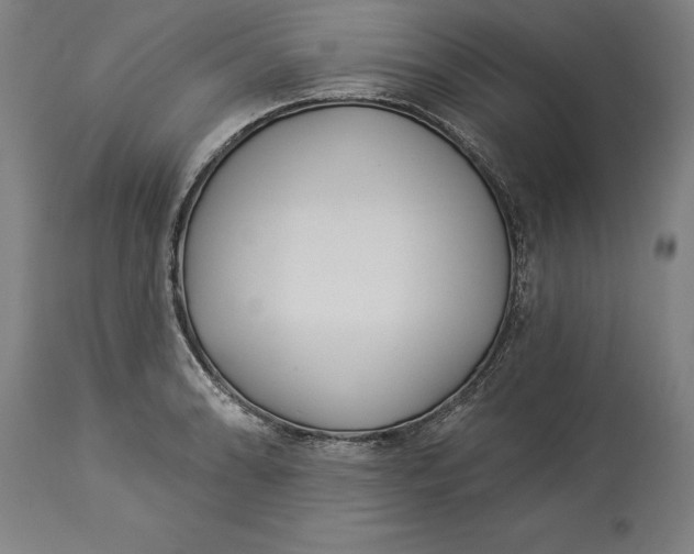 X0000114551086200911091150