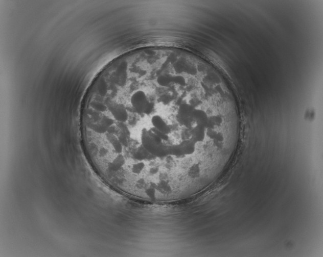 X0000114551087200911091150