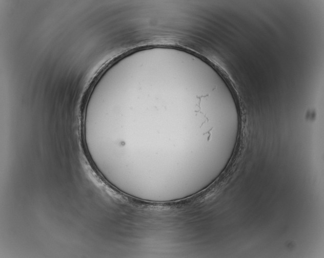 X0000114551088200911091150