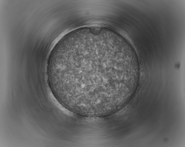 X0000114551091200911091150