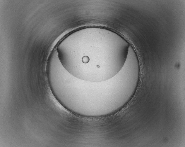 X0000114551092200911091150