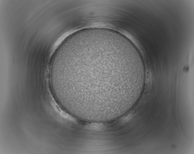 X0000114551094200911091150