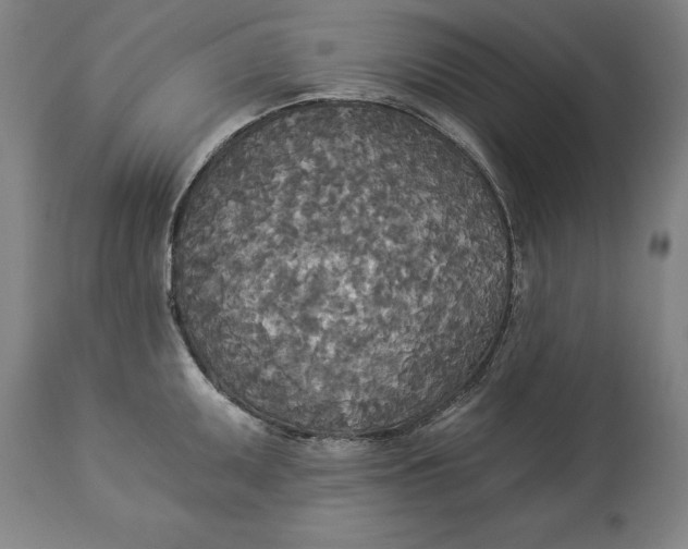 X0000114551095200911091150