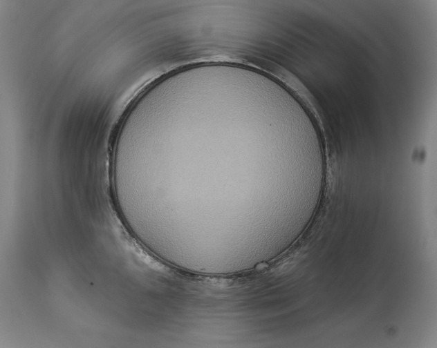 X0000114551096200911091150