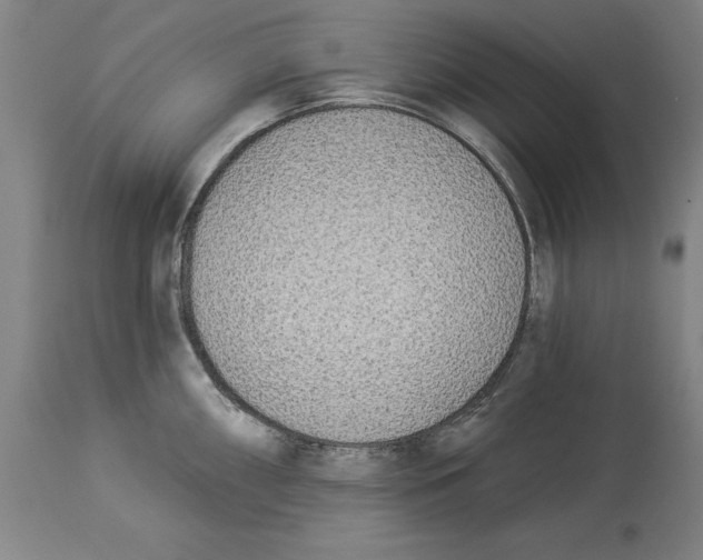 X0000114551098200911091150