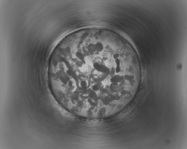 X0000114551099200911091150