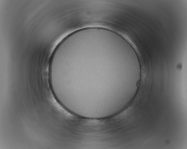 X0000114551100200911091150