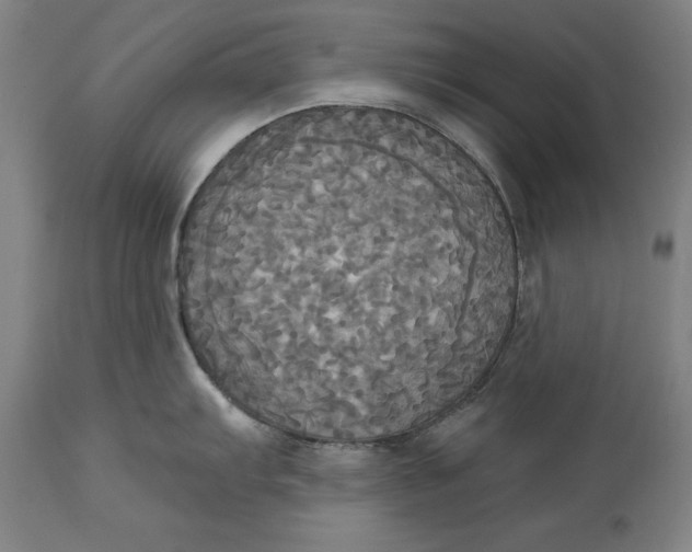 X0000114551103200911091150