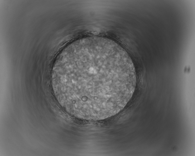 X0000114551105200911091149