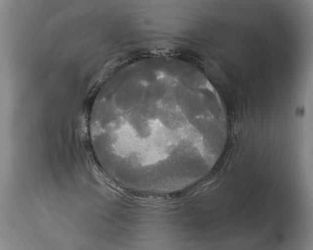 X0000114551106200911091149