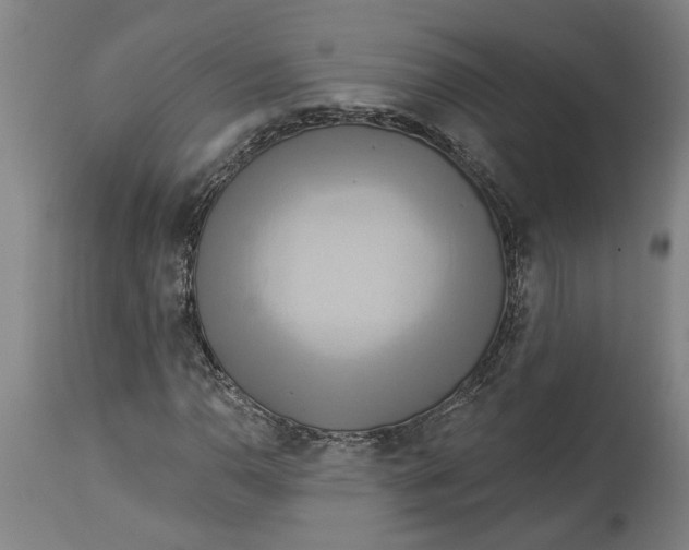 X0000114551110200911091149