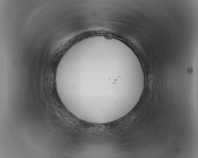 X0000114551111200911091149
