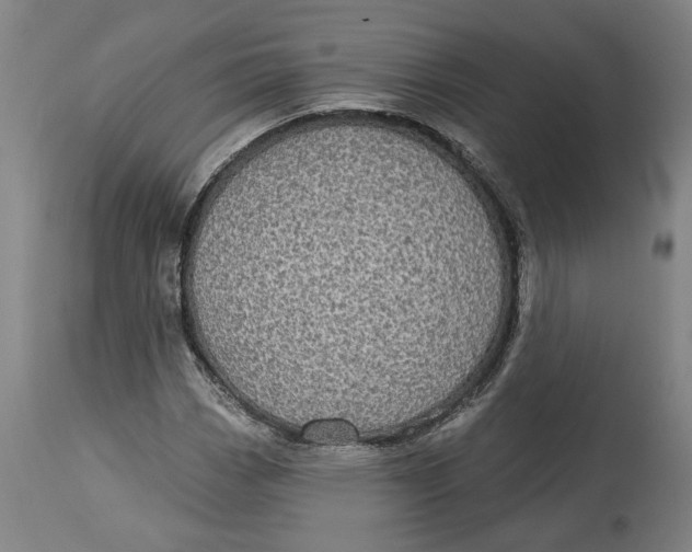 X0000114551113200911091149