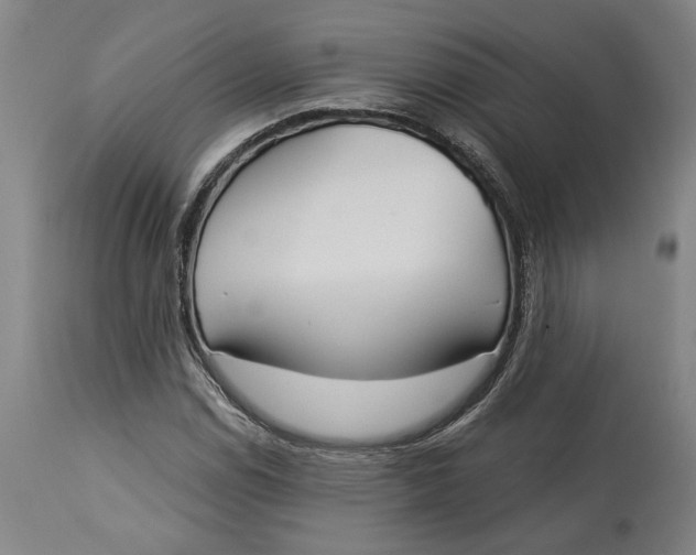 X0000114551114200911091149