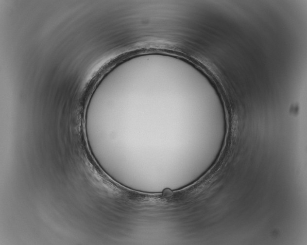 X0000114551115200911091149