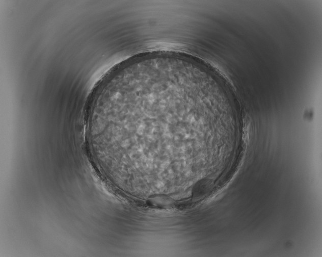 X0000114551117200911091149