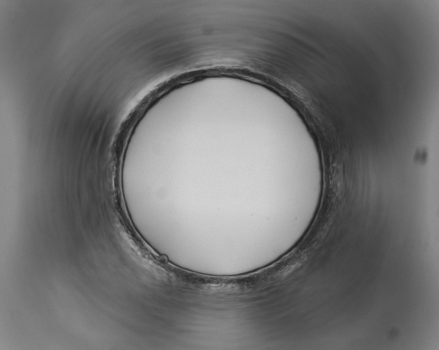 X0000114551118200911091149