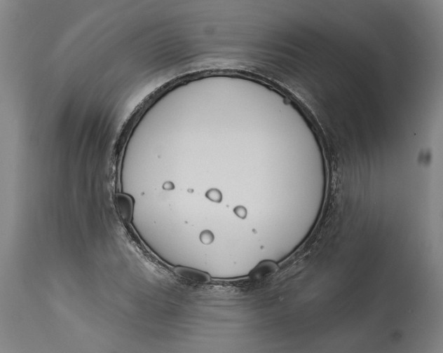 X0000114551119200911091150