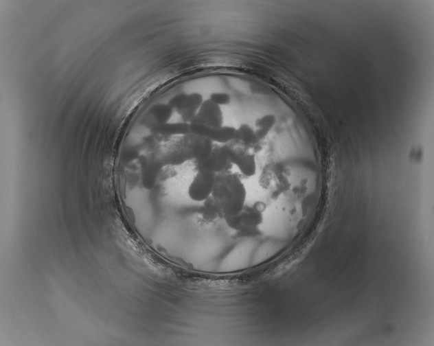 X0000114551121200911091150