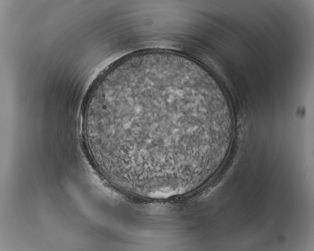 X0000114551125200911091150