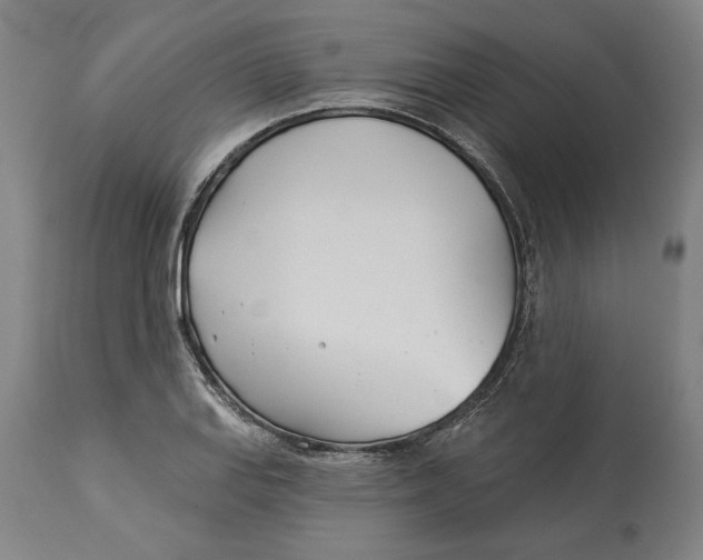 X0000114551127200911091150