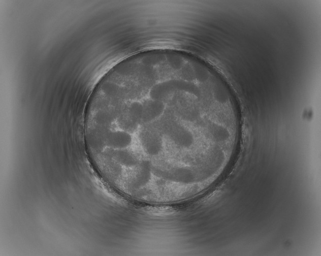X0000114551129200911091150