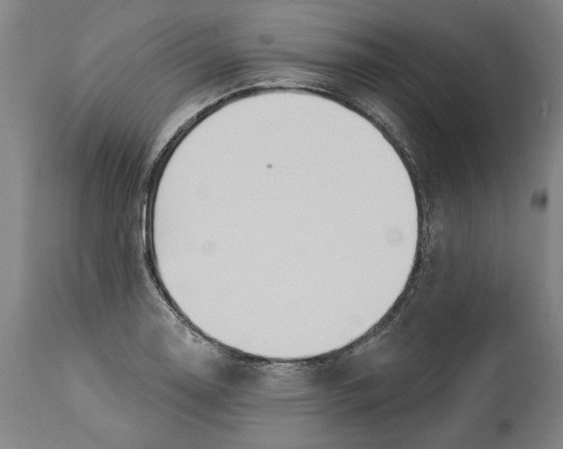 X0000114551130200911091150