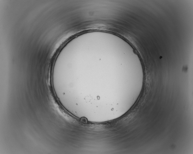 X0000114551131200911091150