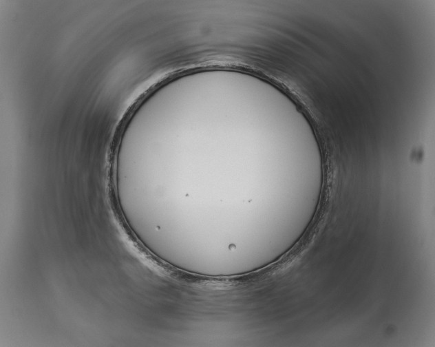 X0000114551134200911091150