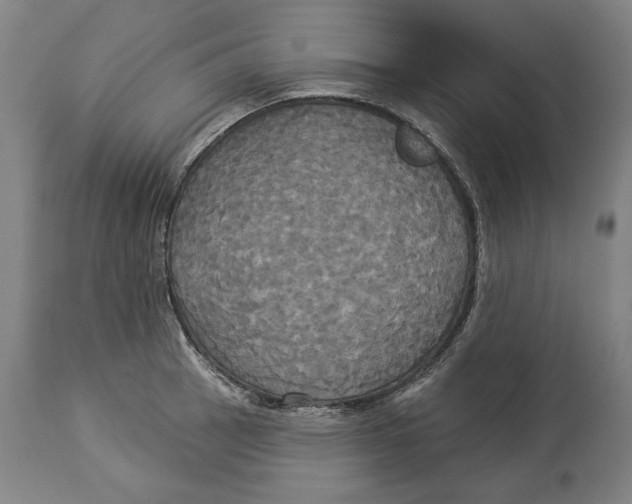 X0000114551137200911091150