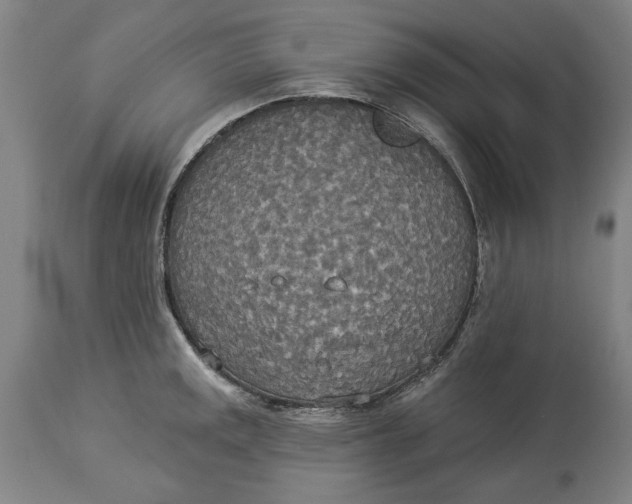X0000114551141200911091150