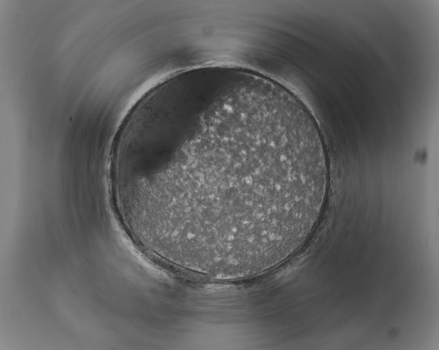 X0000114551142200911091150