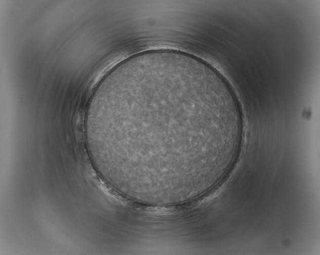 X0000114551145200911091150