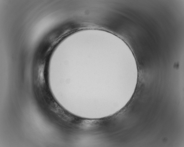 X0000114551150200911091150