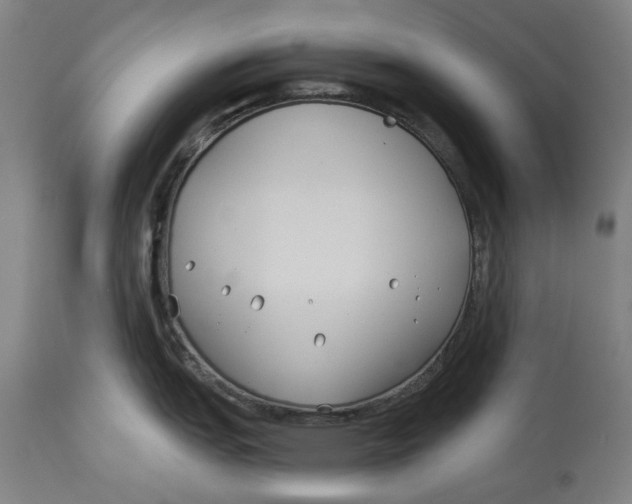 X0000114551151200911091150