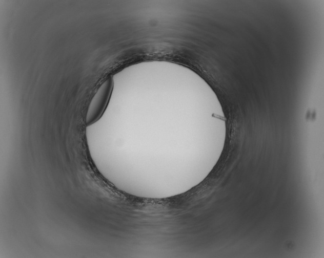 X0000114551153200911091149