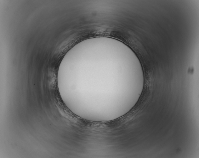 X0000114551154200911091149