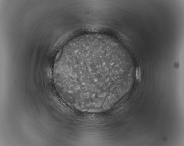 X0000114551155200911091149