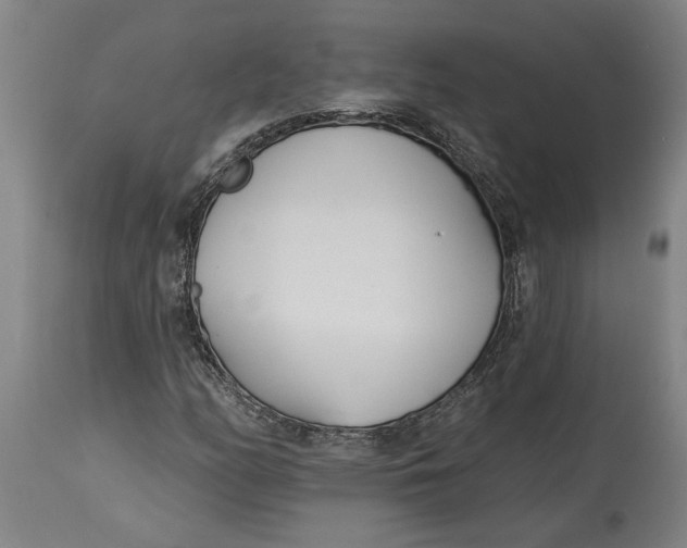 X0000114551158200911091149