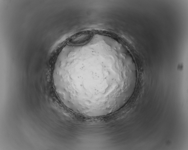 X0000114551159200911091149