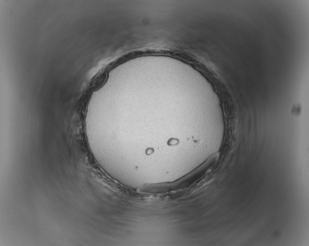 X0000114551160200911091149