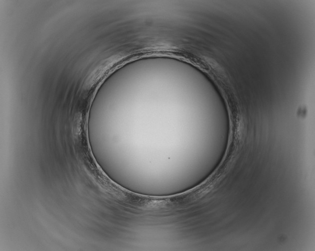 X0000114551161200911091149