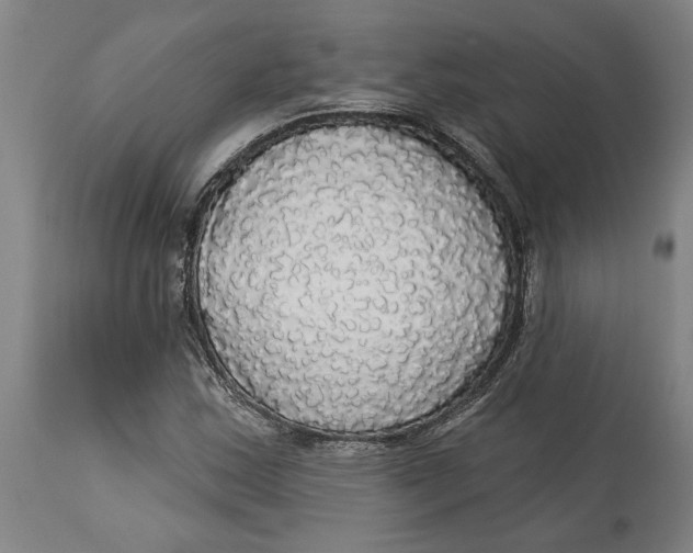 X0000114551163200911091149