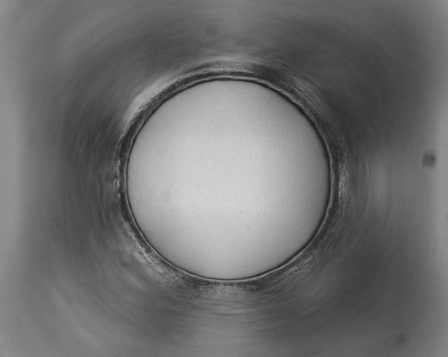 X0000114551164200911091149