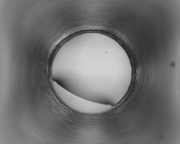 X0000114551165200911091149
