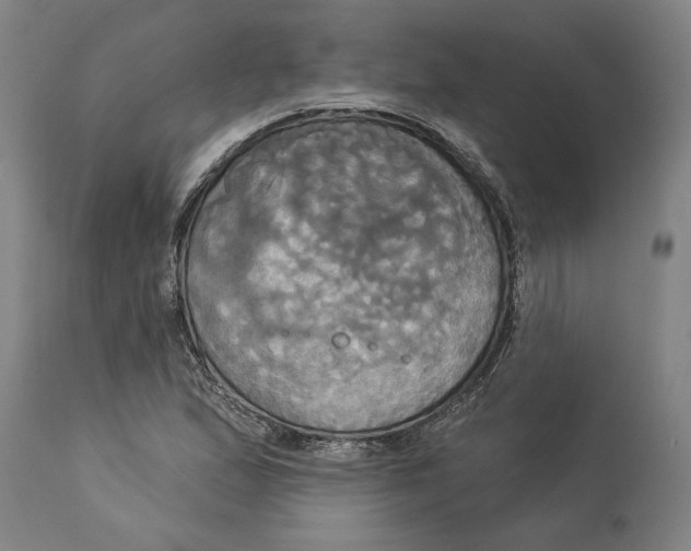 X0000114551167200911091149