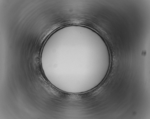 X0000114551170200911091149